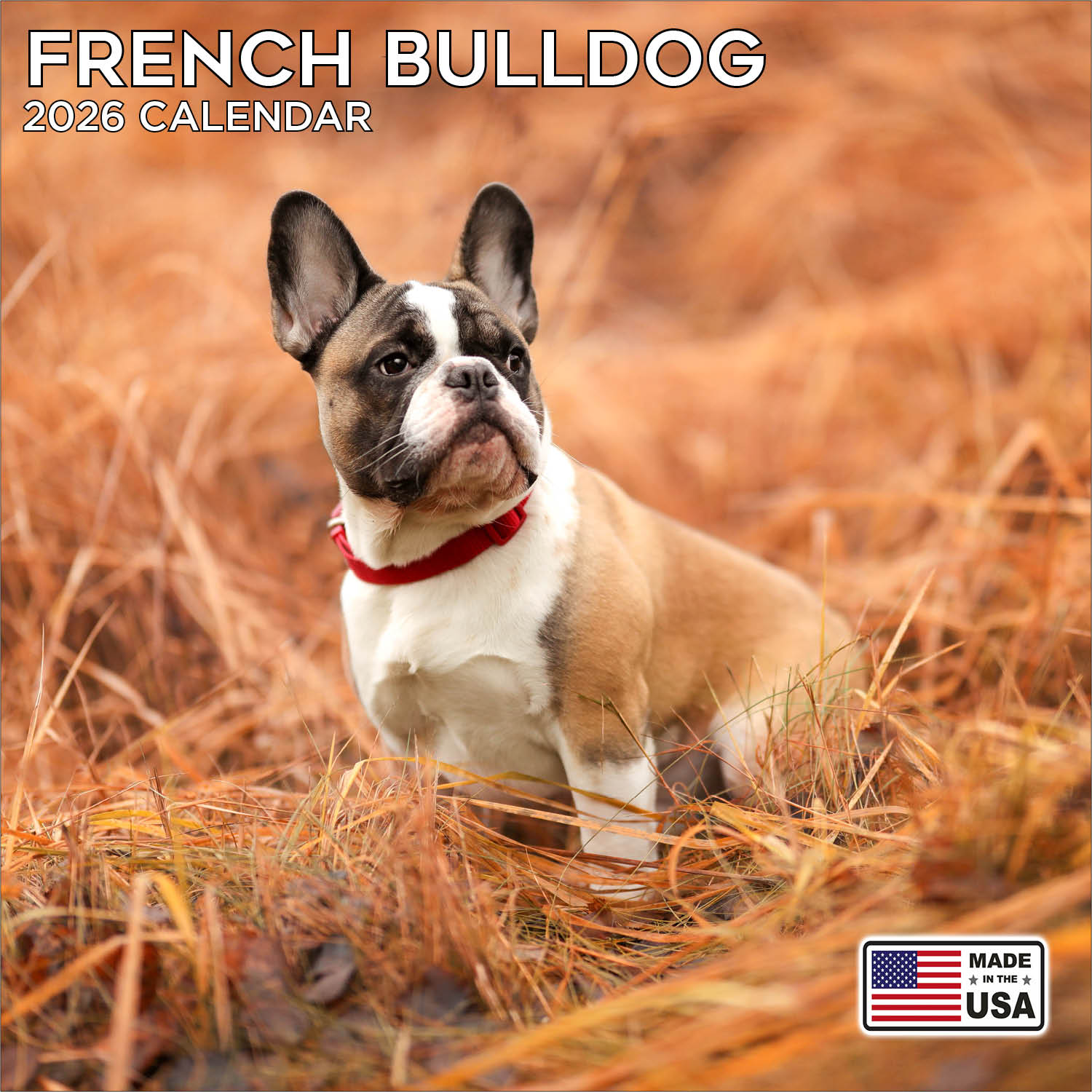 French Bulldog Calendar 2026 | Square Dog Breed Wall Calendar | 16 Month | With Free Organisational Stickers