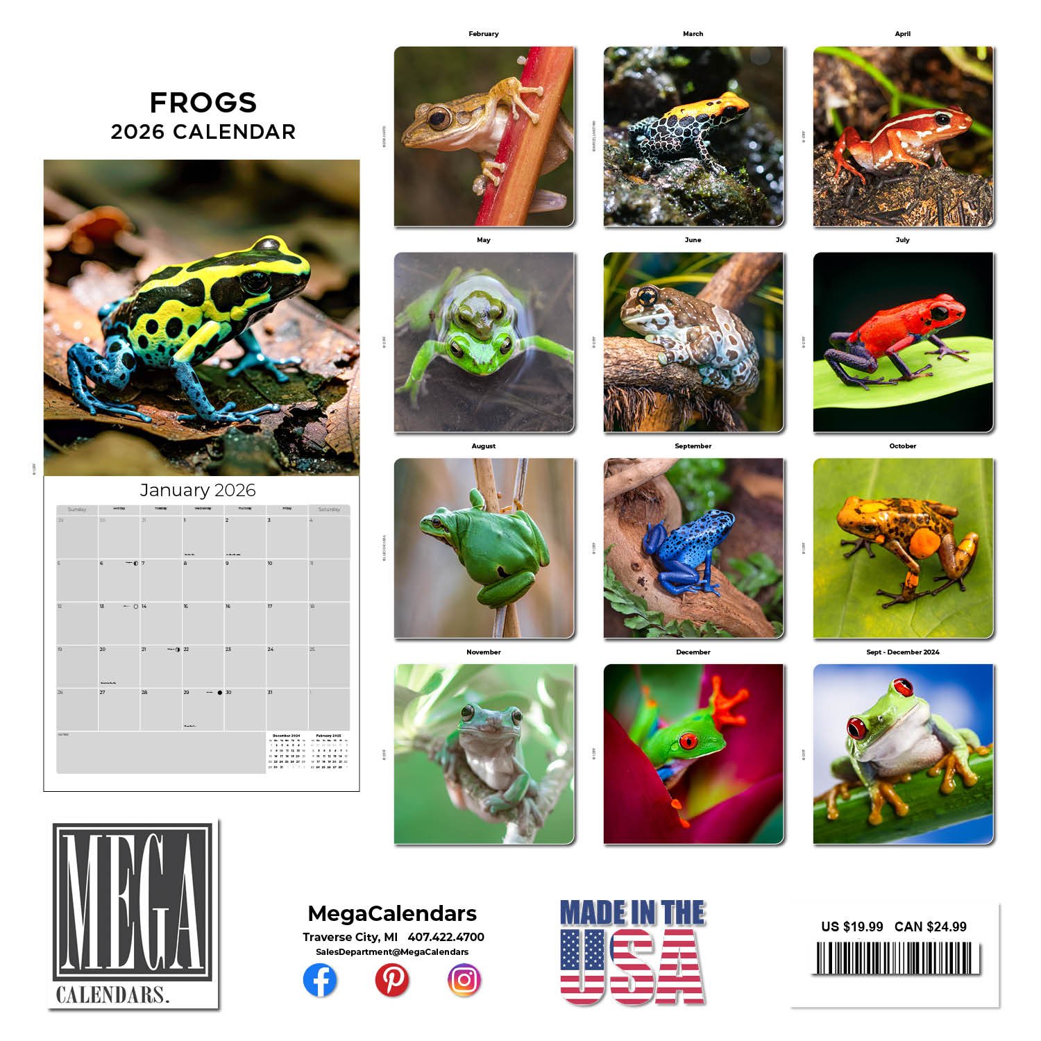 thumbnail image 2 of Frog Calendar 2025 | Fantastic Frogs Wall Calendar | 30.5 X 61 Cm | 12 Months | Marble City Press | Cute Frog Amphibian Toads | Education Facts For Children | Calendar 2024-2025 2 of 10