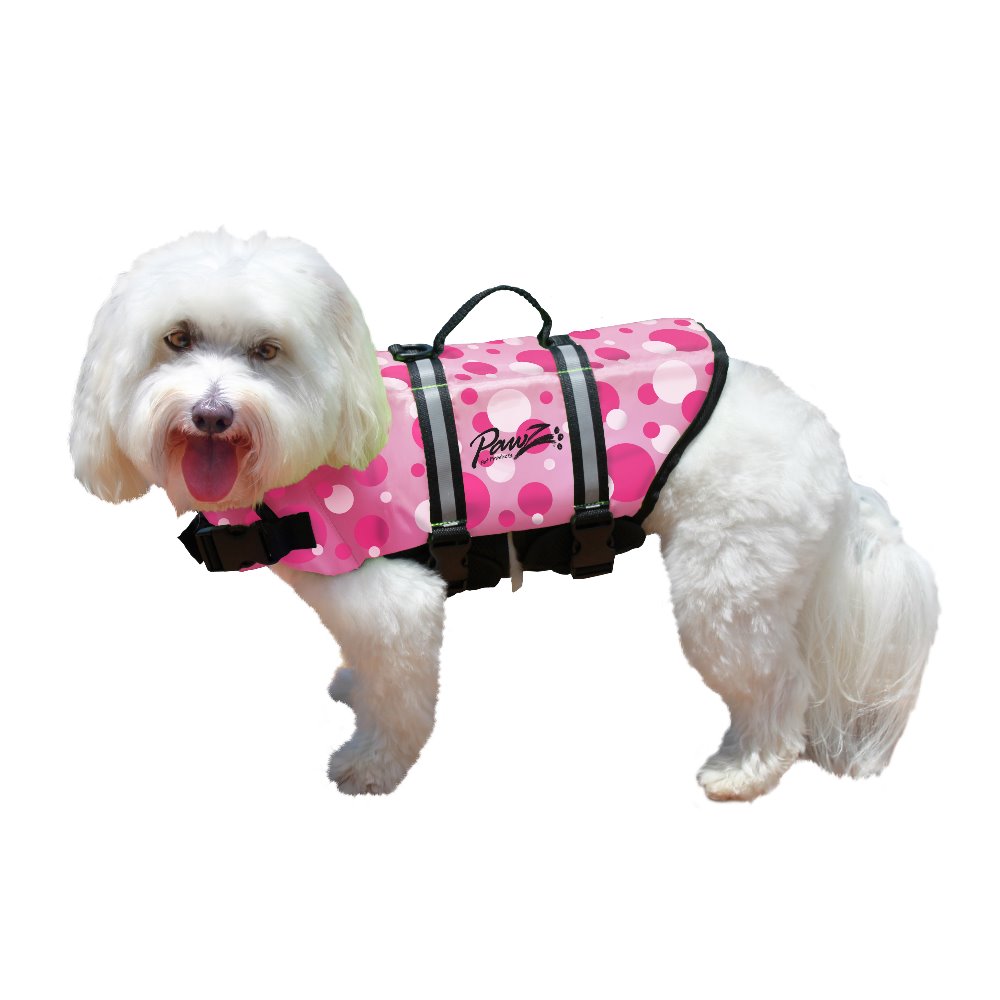 small dog life jacket