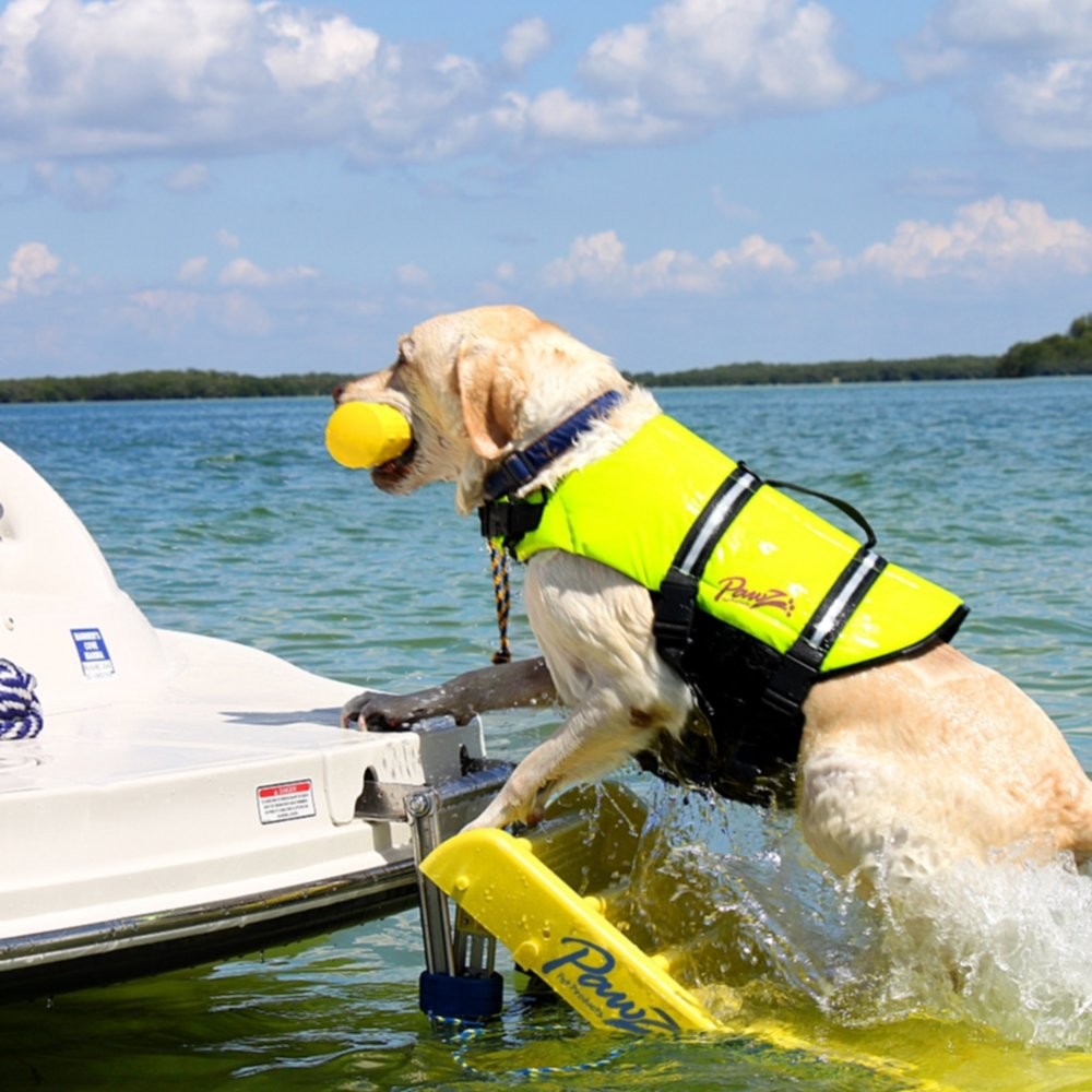 Dog Boat Ladder Paws Aboard Dog Boat 