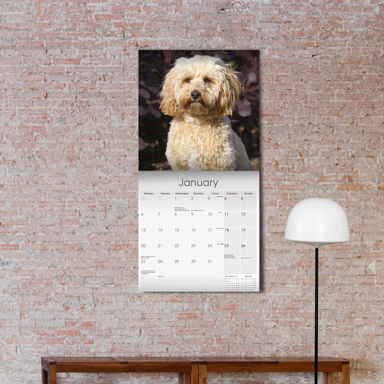 Cavapoo Calendar 2020 Premium Dog Breed Calendars | eBay