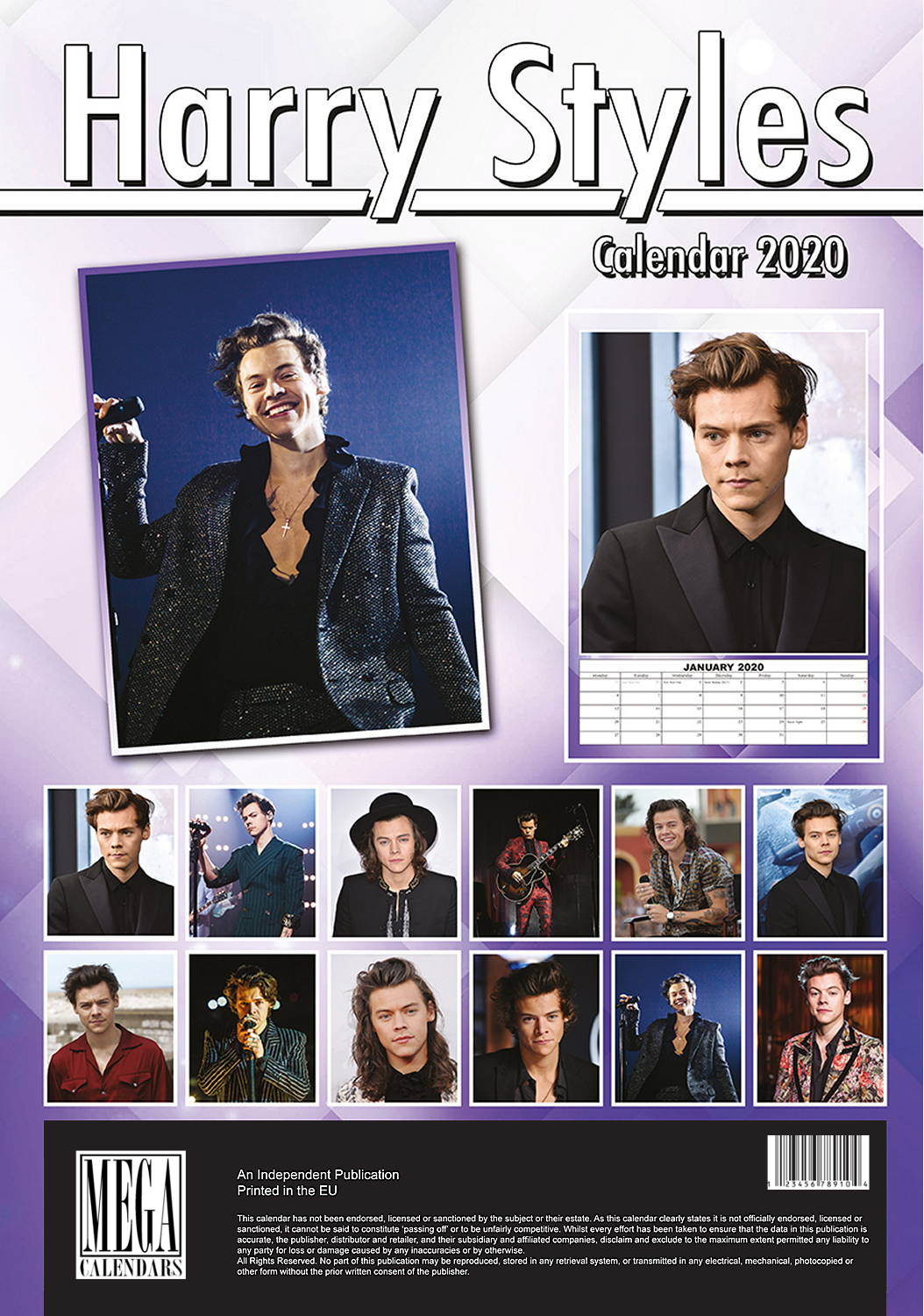 Harry Styles Celebrity Wall Calendar 2020 EBay