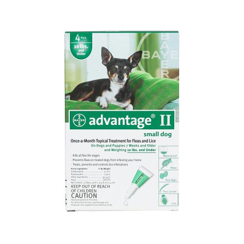 Flea Control for Dogs and Puppies Under 10 lbs 4 Month Supply Flea