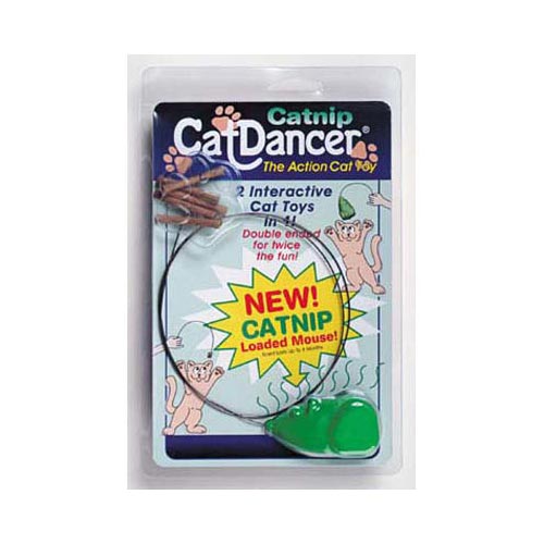 cat dancer toy video